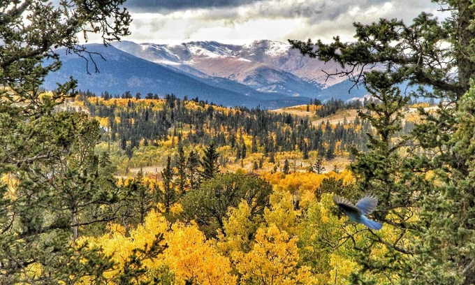 Indian Mountain Ski Chalet | Your Colorado Mountain Getaway!