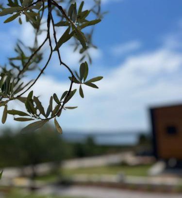 Ozbek Koyu Hotel | Zu Urla