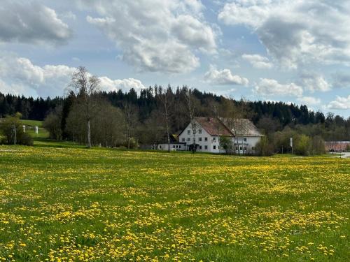 Isny im Allgaeu Hotel | Zum Bayrischen Wirt