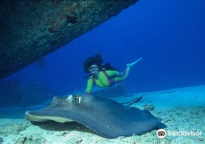 Bimini Big Game Club Resort & Marina