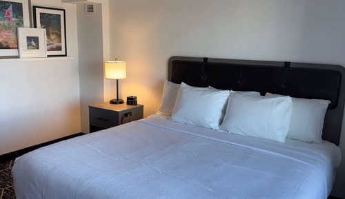 Room, 1 King Bed, Non Smoking