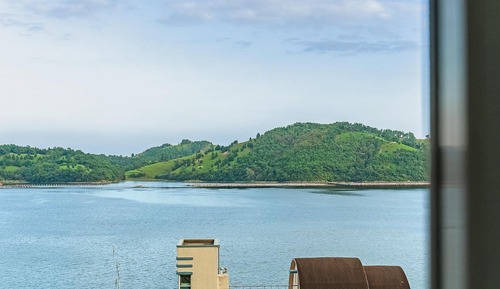 Basic Room, 1 Bedroom (Bdong 103(Ocean view,withpet))