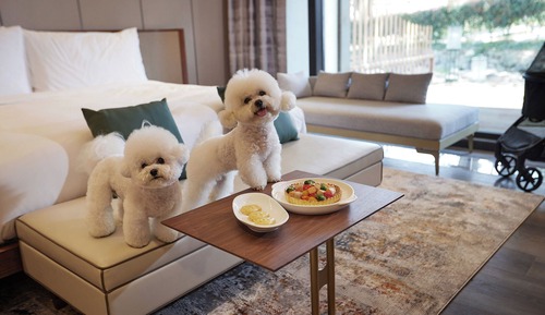 (New Wing) Forest Pet Room