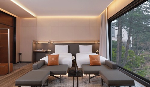 (New Wing) HILL - Amber Twin