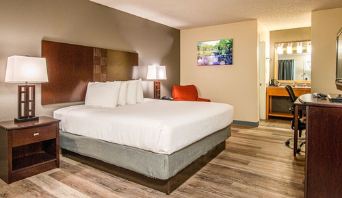 Room, 1 King Bed, Non Smoking, Pool View