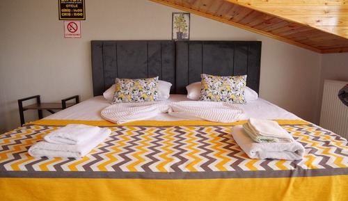 Standard Room, Multiple Beds, Non Smoking, Pool View