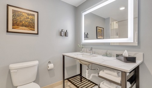 Standard Single Room, 1 King Bed