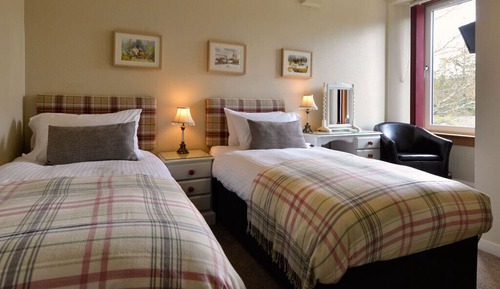 Basic Twin Room