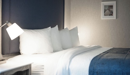 Standard Room, 1 King Bed with Sofa bed