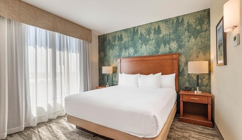 Suite, 1 King Bed with Sofa bed, Accessible, Refrigerator & Microwave (2 Rooms, Tub)