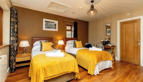 Penmaen, All dog friendly