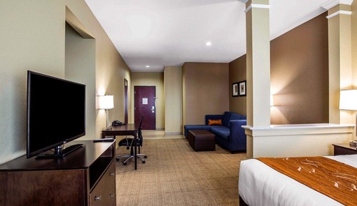 Suite, 1 King Bed with Sofa bed, Accessible, Non Smoking (Efficiency)