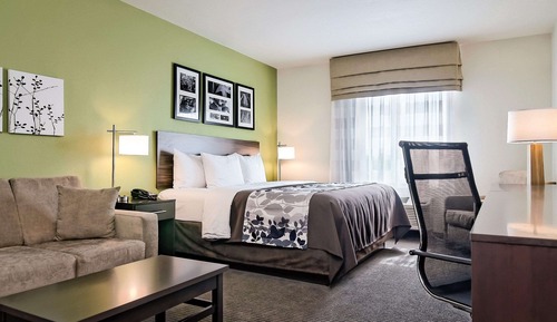 Suite, 1 King Bed with Sofa bed, Non Smoking