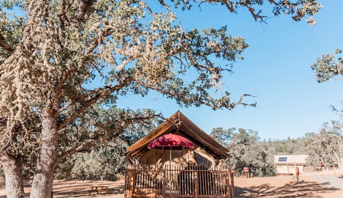 Canadienne Pacific Tent