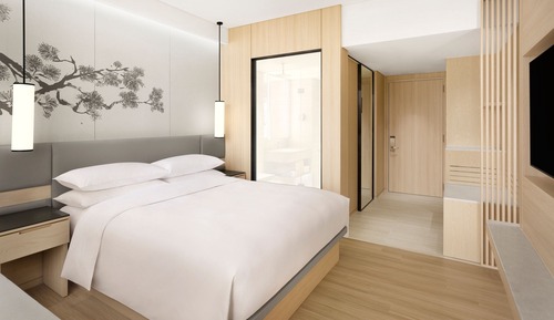 Standard Room, 1 King Bed, Non Smoking