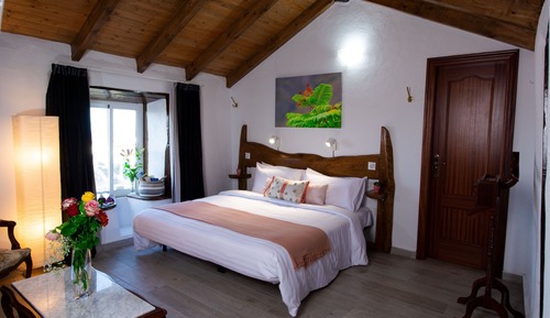 Traditional Double or Twin Room