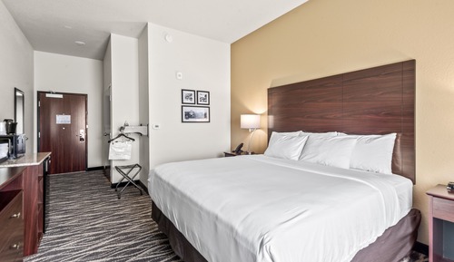 Room, Non Smoking (King Guestroom)
