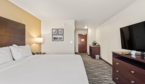 Room, Non Smoking (Single King Guestroom)