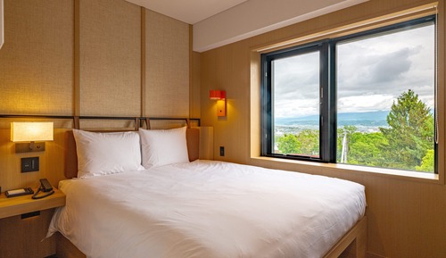 Room, 1 Queen Bed
