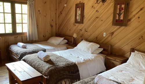 Superior Room, Multiple Beds