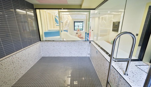 Blue Saurus Pool room