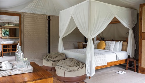 Waterfall Tent
