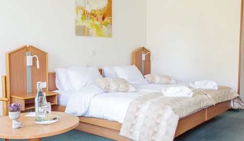 Superior Double or Twin Room
