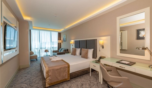 Superior Double or Twin Room