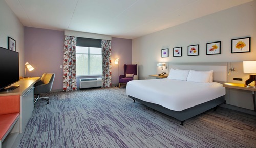 Room, 1 King Bed, Accessible, Bathtub