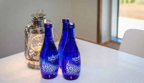 Room (Deluxe 306 (Duplex))