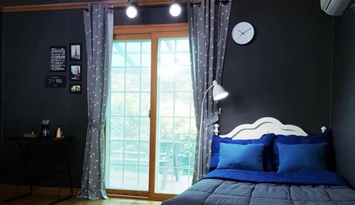 Room (Saddle WITH BIRDS)