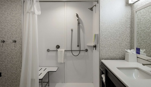 Studio, 1 King Bed, Accessible, Non Smoking (Roll-In Shower)