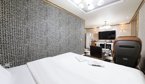 Room (VIP King Double (Styler Massage Chair)