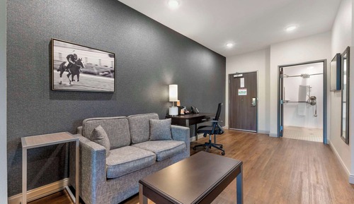 Presidential Suite, 1 King Bed with Sofa bed, Roll-in Shower, Non Smoking