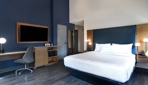 Room, 1 King Bed with Sofa bed