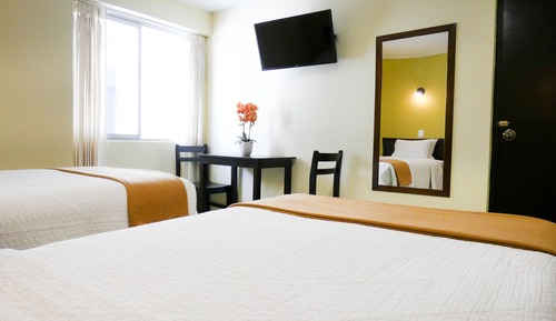Basic Twin Room