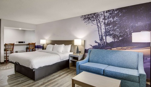 Standard Room, 1 King Bed, Non Smoking