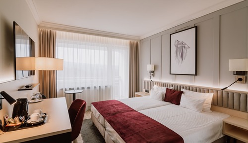 Deluxe Plus Twin Room