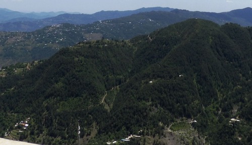 Executive Suite, Multiple Beds