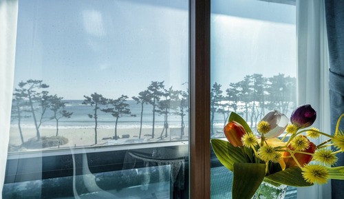 Room (Ocean View Standard)