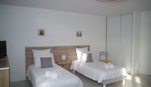 Superior Suite, Garden View