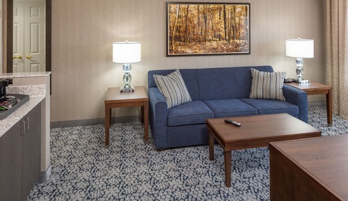 Suite, 1 Bedroom