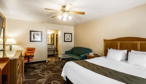 Standard Room, 1 King Bed, Non Smoking
