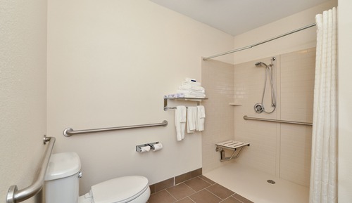 Studio Suite, 1 King Bed, Roll-in Shower (Communications)