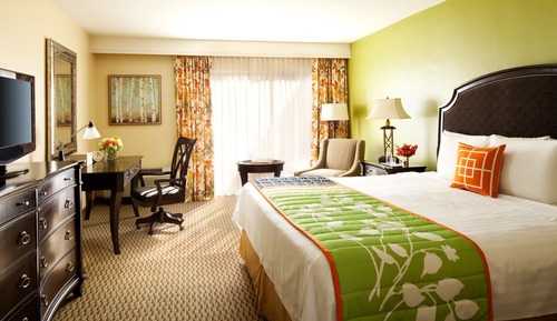 Standard Room, 1 King Bed, Accessible