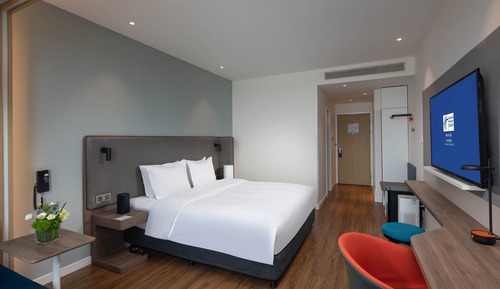 Room, 1 King Bed (Minifridge)