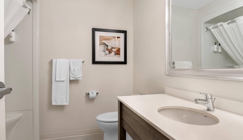 Standard Room, 1 King Bed, Non Smoking