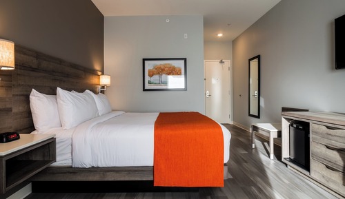 Standard Room, 1 King Bed, Non Smoking (Pet-Friendly)