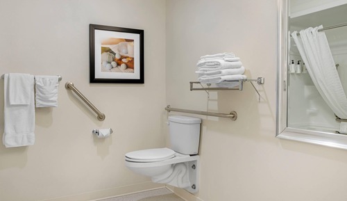 Room, 1 King Bed, Accessible, Non Smoking