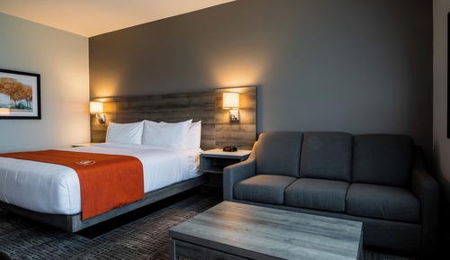 Standard Room, 1 King Bed with Sofa bed, Non Smoking